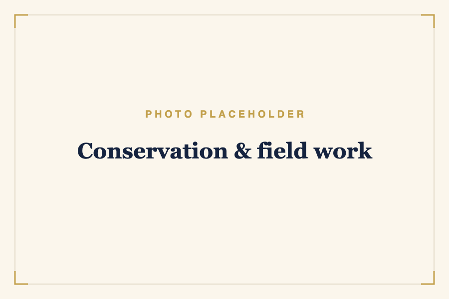 Conservation & field work
