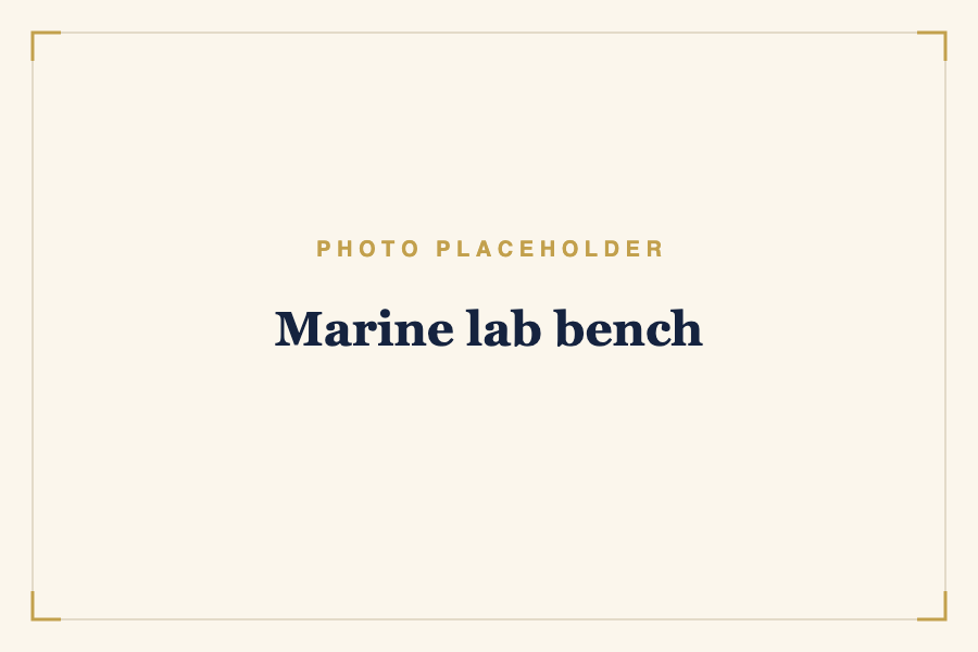 Marine lab bench