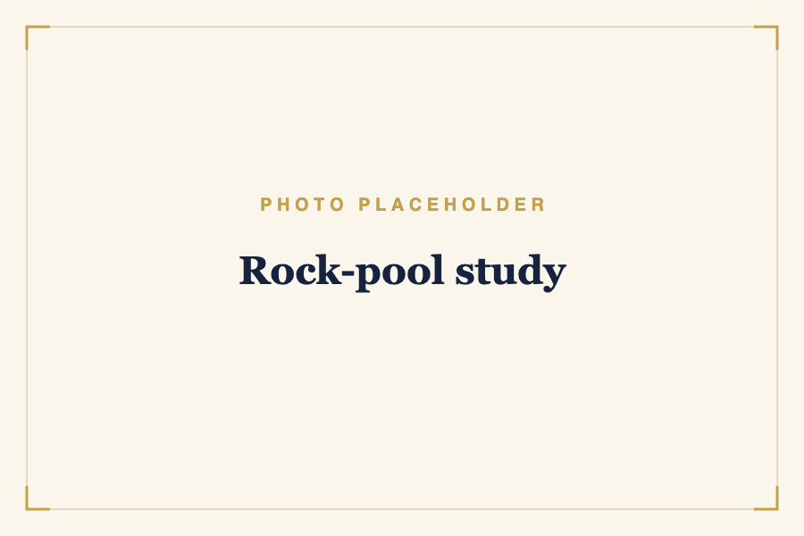Rock-pool study